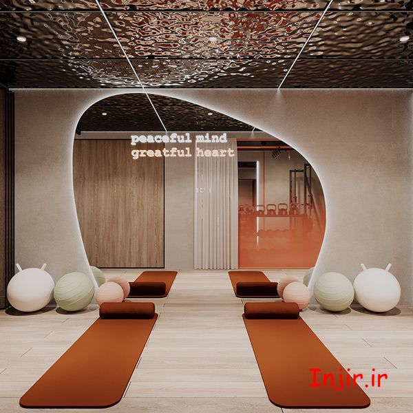 تصویری از یک باشگاه ورزشی پیلاتس 05